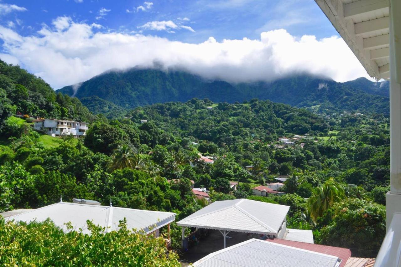 Le Colibri Vert Le Morne-Vert Екстер'єр фото